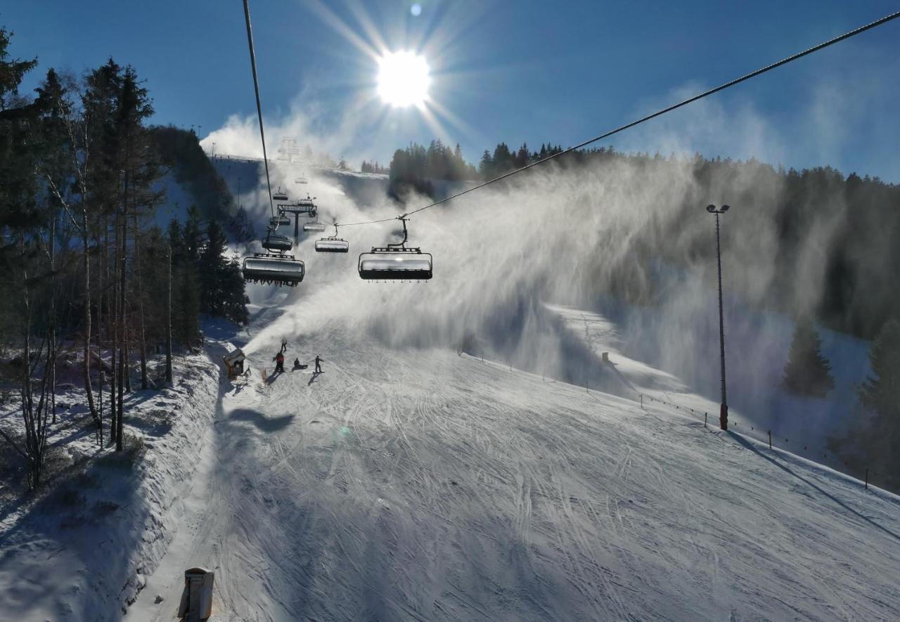Quartier12 "Ski In & Bike Out" - Fewo Berg Willingen  Exteriör bild