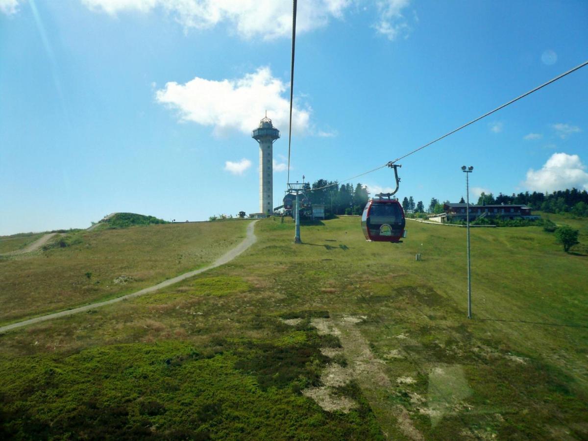 Quartier12 "Ski In & Bike Out" - Fewo Berg Willingen  Exteriör bild
