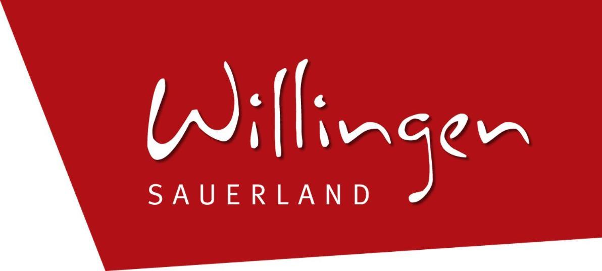 Quartier12 "Ski In & Bike Out" - Fewo Berg Willingen  Exteriör bild